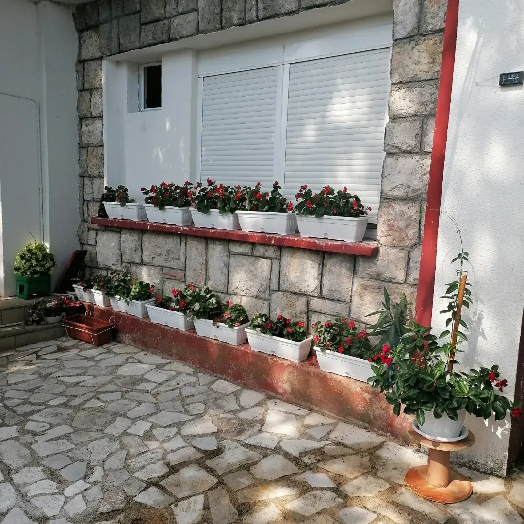 vila LAV APARTMANI
